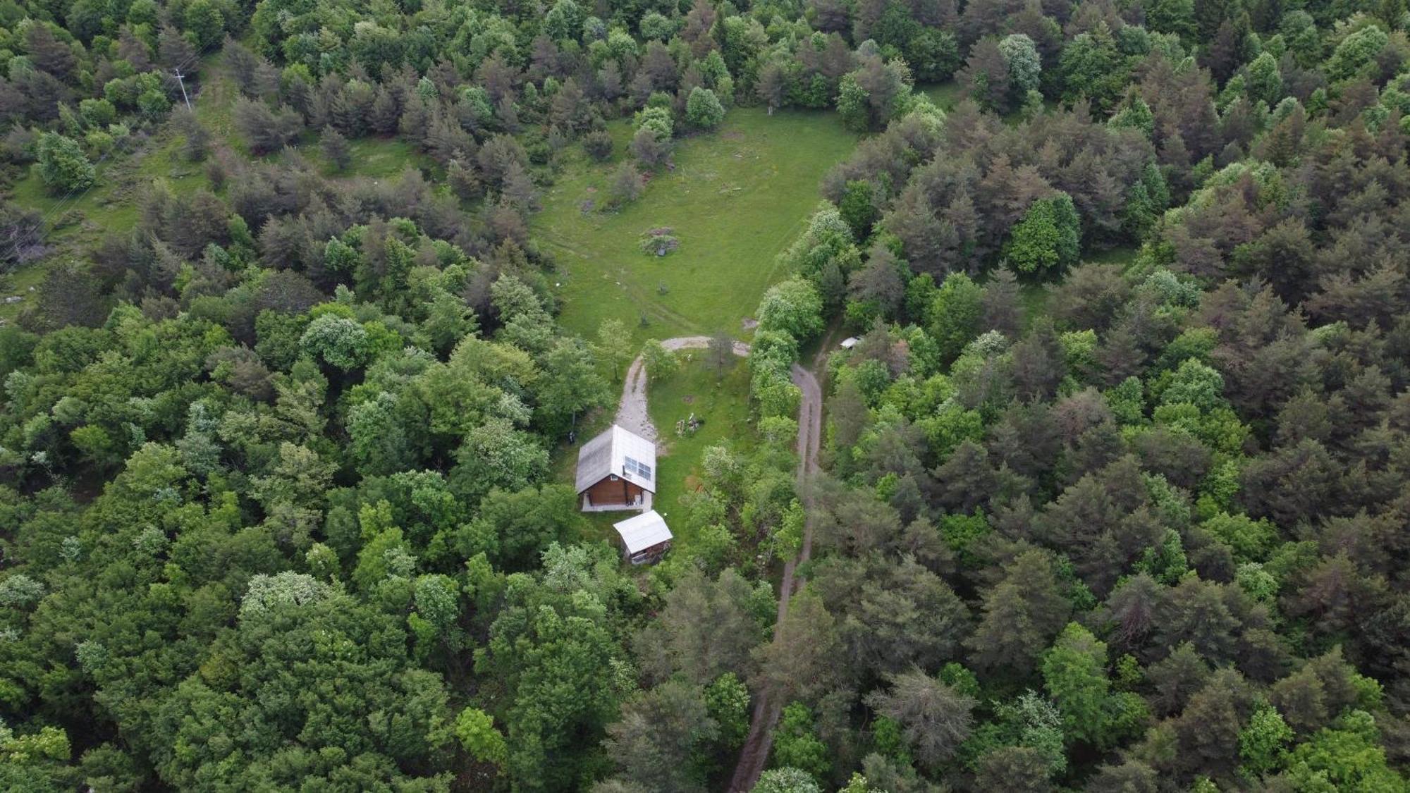 Podklanci-House In The Forest Knezak المظهر الخارجي الصورة